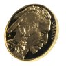 Купить США 50 долларов (dollars) 2007 Proof "Американский буффало (бизон) (American Buffalo)"