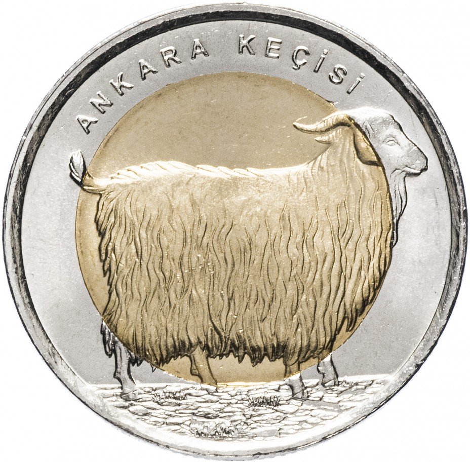 купить Турция 1 лира 2015 "Фауна Турции - Ангорская коза"