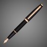 Купить Перьевая ручка Aurora Style Resina Matt Black PGT, перо - F, в подарочной коробке, Покрытия: позолота, позолота, смола, 2026 г.