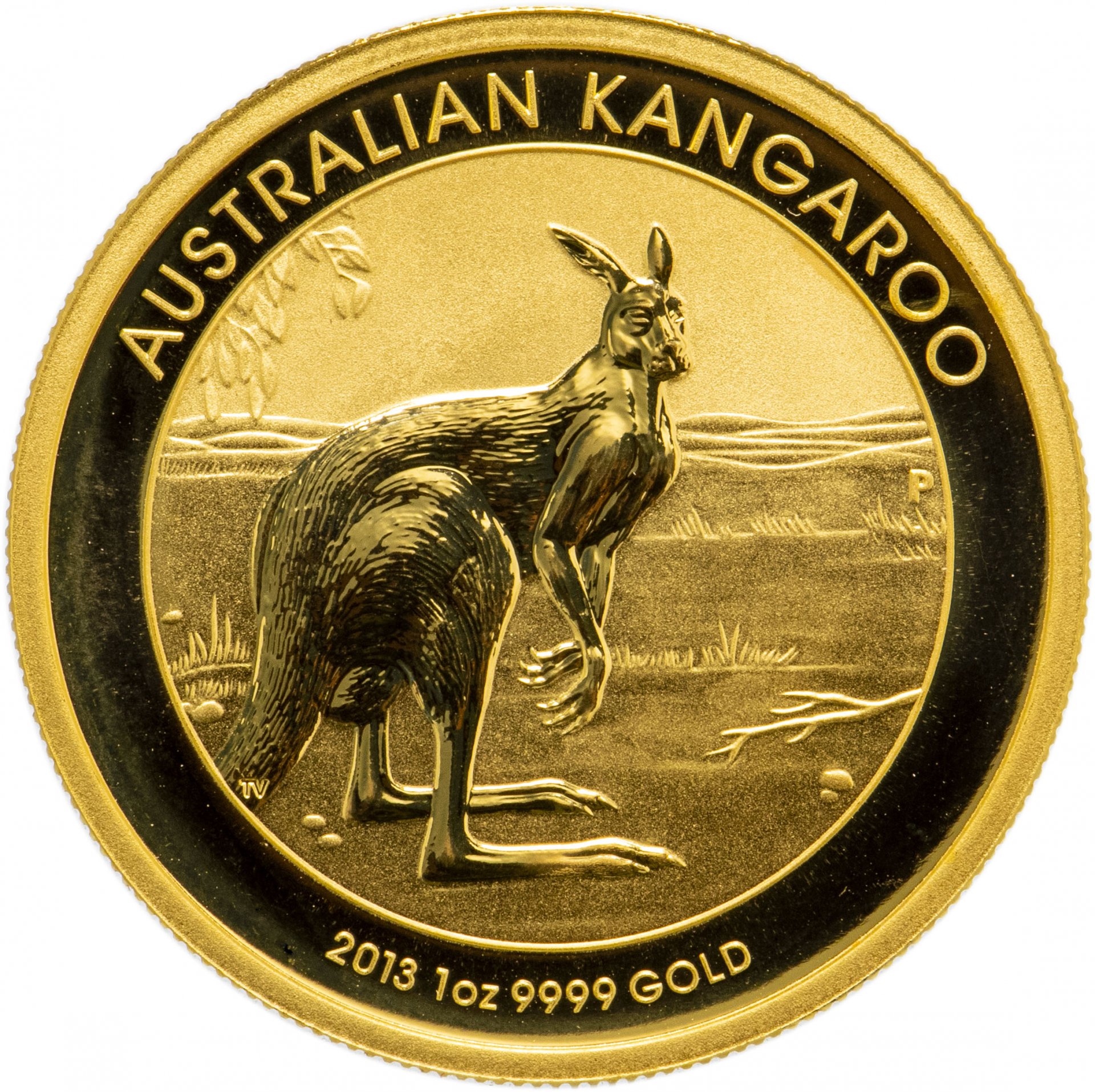 Монета Австралия 100 dollars (долларов) 2013 P kangaroo (кенгуру)  стоимостью 341892 руб.