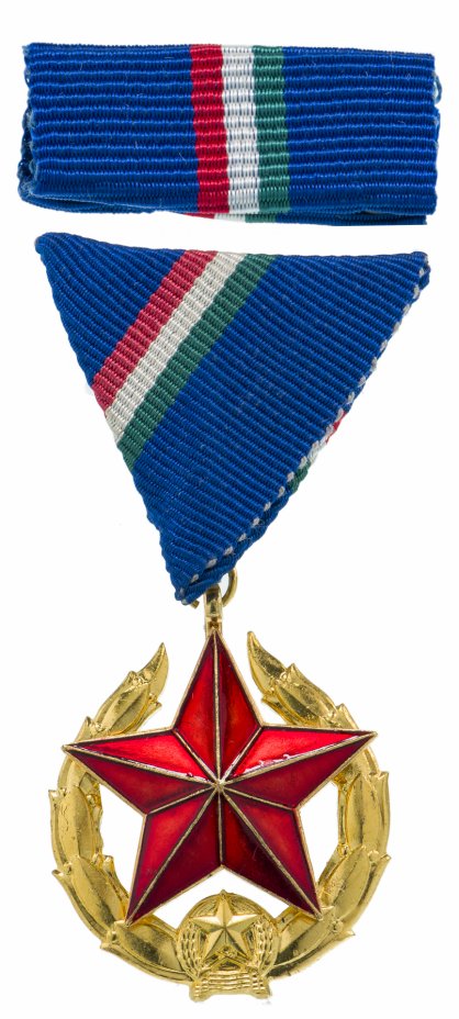 купить Венгрия медаль Общественной Безопасности 1951 год. Золотой класс для сотрудников полиции. тип 2