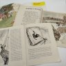 Купить Набор из 5-ти детских книг (Н.А. Некрасов "Колосья", А. Барто "Вовка-добрая душа", С.Т. Аксаков "Аленький цветочек", Н. Носов "Про тигра", Л.Н. Толстой "Акула"), бумага, печать, Издательство «Детская литература» (Детгиз), СССР, 1980-1986 гг.