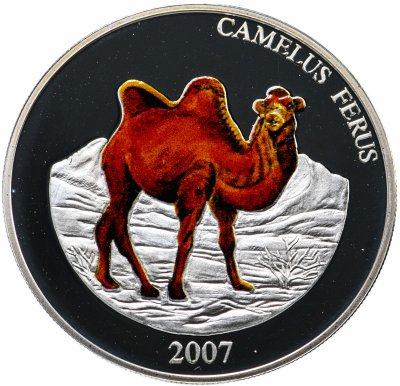 купить Монголия 500 тугриков 2007 Proof "Красная книга - Пустынный верблюд"