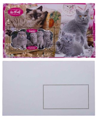 купить Габон марки квартблок "Коты и кошки"