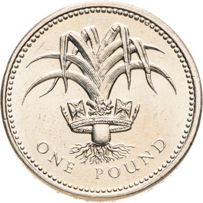 купить Великобритания 1 фунт (pound) 1985 Лук-порей