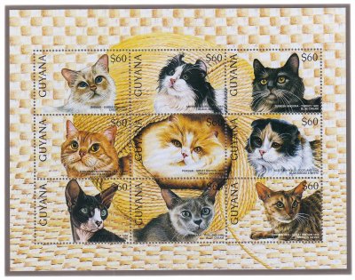 купить Гайана набор из 9 марок 1996 серии "Кошки мира. Породы кошек", 60 долларов , малый лист