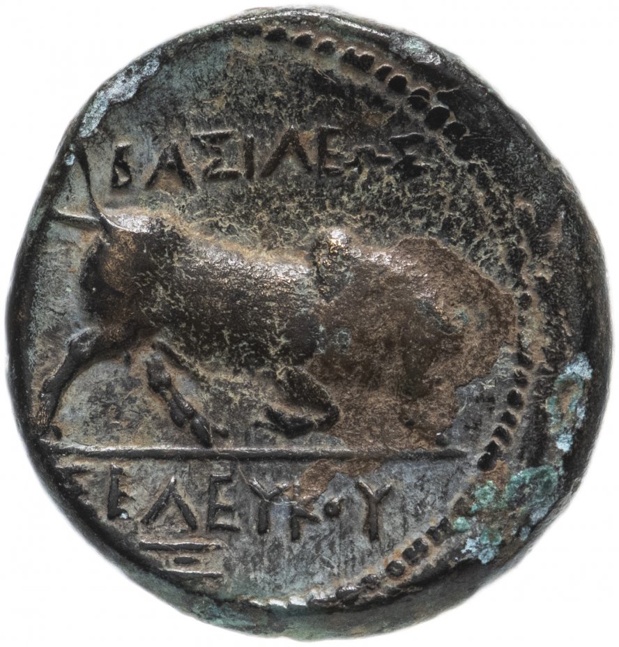купить Государство Селевкидов, Селевк I Сотер, 312-281 годы до Р.Х., бронза 20 мм.