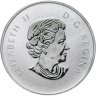 Купить Канада 10 долларов 2013 «Год змеи» в футляре с сертификатом