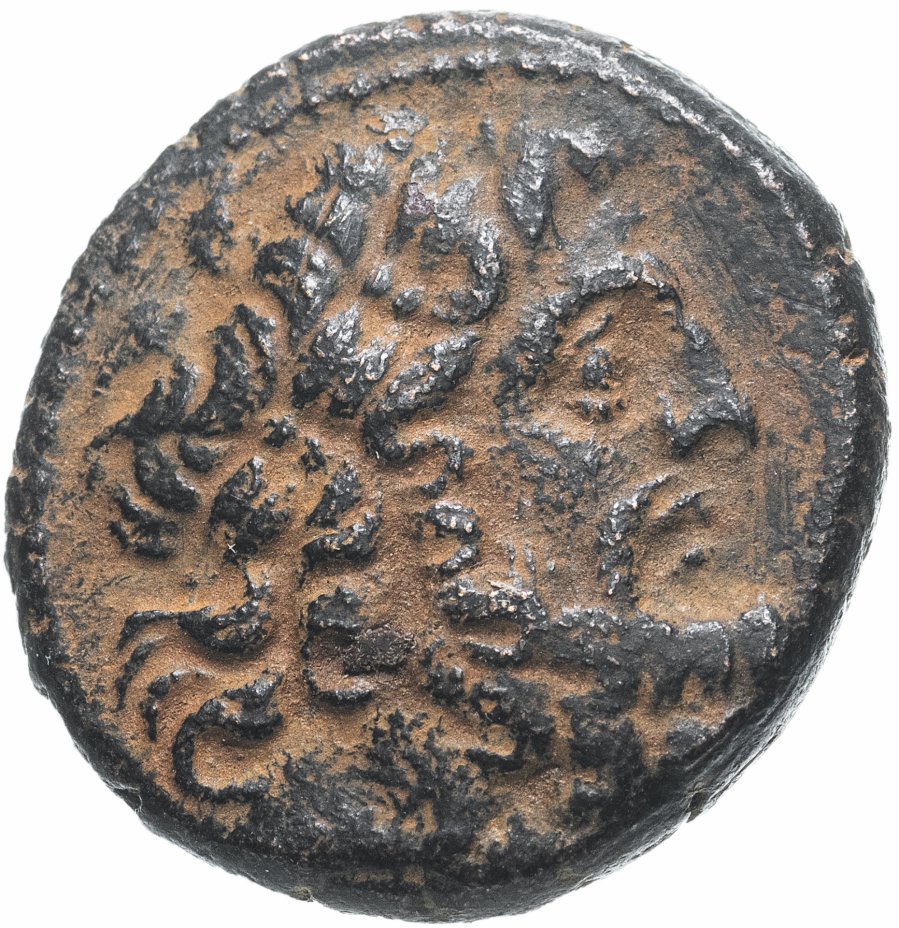 купить Сирия, Апамея-на-Оронте, квази-автономная чеканка, 56-76 год до Р.Х. (Слон)