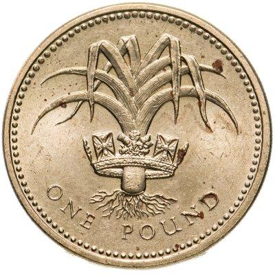 купить Великобритания 1 фунт (pound) 1990