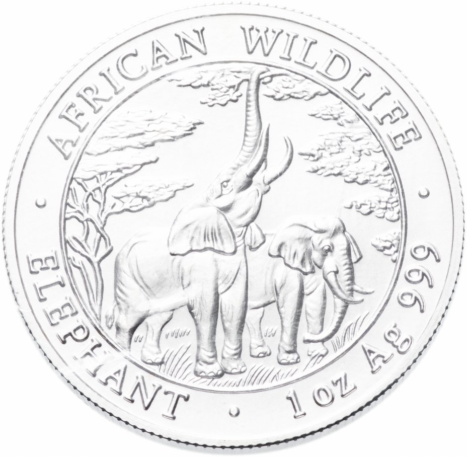Elephant 2003. Монета с тремя слонами. Монета со слоном Zambia. Эмблема африканской страны слон. Замбия слон 2003 2000 квача.