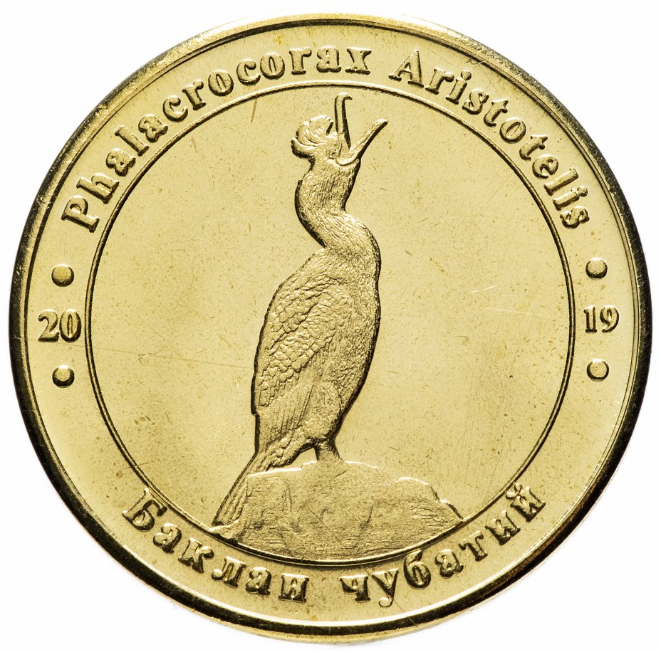купить Украина монетовидный жетон 1 злотник 2019 "Красная книга Украины-Хохлатый баклан"