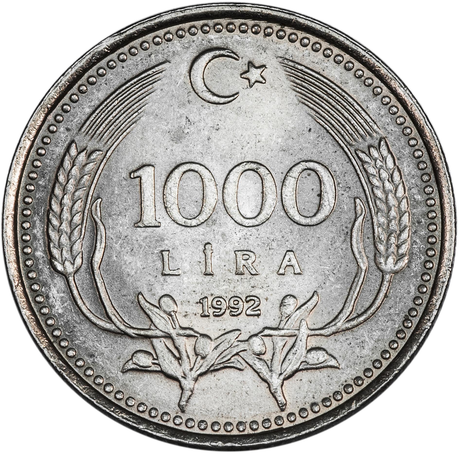 Тысяча лир сколько в рублях. Монета 1993 года 1000 лир. 1000 Лир Турция. 1000 Лир монета.