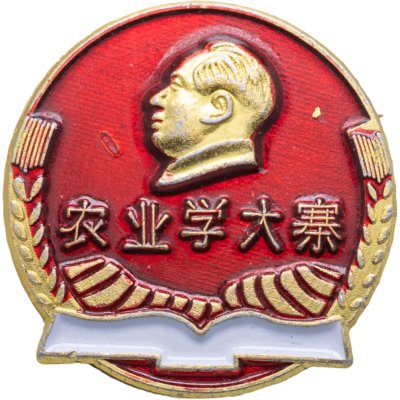 купить Значок Китай Мао Цзэдун (Разновидность случайная )