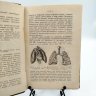 Купить Волкова М.М., Вольфсон В.Д. "Курс гигиены для средних учебных заведений", издание пятое, бумага, печать, Российская империя, 1906 г.