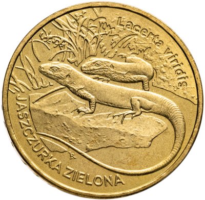 купить Польша 2 злотых (zlote) 2009 Всемирная природа - Зелёная ящерица