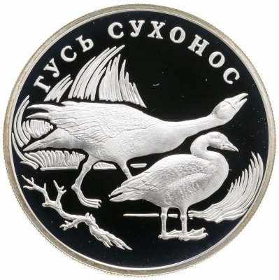 Купить 1 рубль 2006 СПМД гусь сухонос