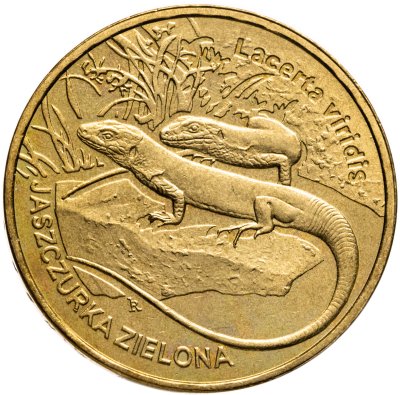 купить Польша 2 злотых (zlote) 2009 Всемирная природа - Зелёная ящерица