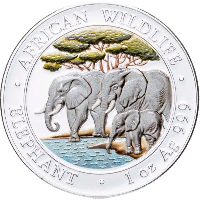 купить Сомали 100 шиллингов 2013 "Слоны" цветная, частная модификация подлинной монеты