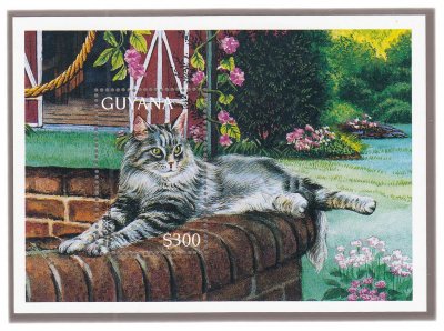 купить Гайана 300 долларов 1996 "Кошки мира. Породы кошек. Мейн-кун", почтовый блок
