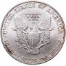 Купить США 1 доллар (dollar) 2001    Американский серебряный орёл Без отметки монетного двора США