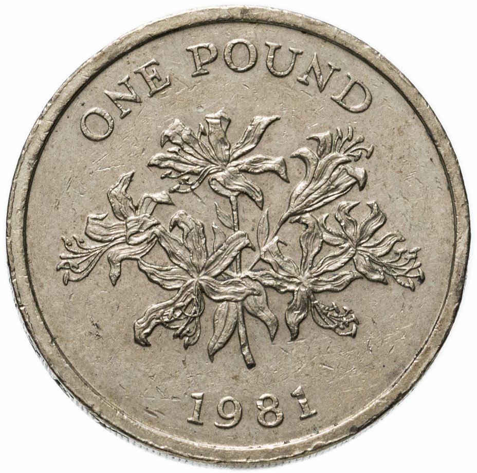 1 фунт сколько долларов. Фунт Гернси. Монета Гернси 2023. 1 Паунд в рублях. 1 Фунт 1983 Гернси.