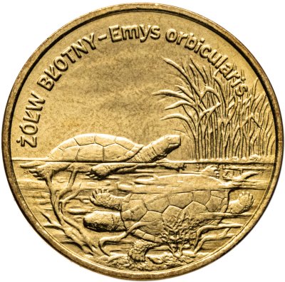 купить Польша 2 злотых 2002 "Болотная черепаха"