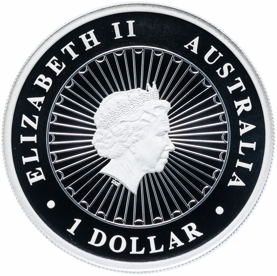 Монета австралия 1 доллар. 1 Доллар монета 2013г. Австралия 1 доллар, 2013 вомбат. Серебряная монета 1 доллар со скелетом. Монета Австралия 1 доллар волейбол.