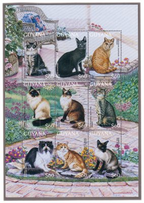 купить Гайяна серия из 9 марок 1996 "Кошки мира. Породы кошек", 60 долларов , малый лист