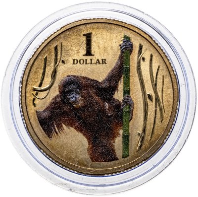 купить Австралия 1 доллар 2012 «Животные в зоопарке - оратунганг»
