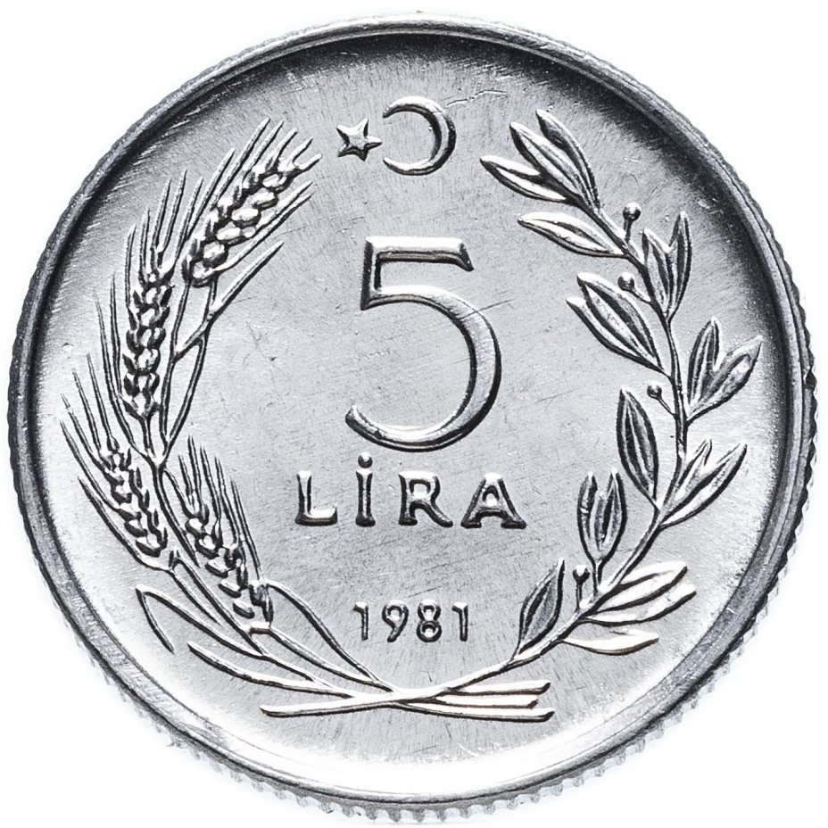 Купить турецкий банк. Турция 5 лир 1982. Турецкая копейка монета. Монета 5 лир Турция. 5 Лир 1981 года.
