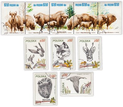 купить Польша набор из 10 марок "Фауна. Млекопитающие и птицы. Лесные жители"