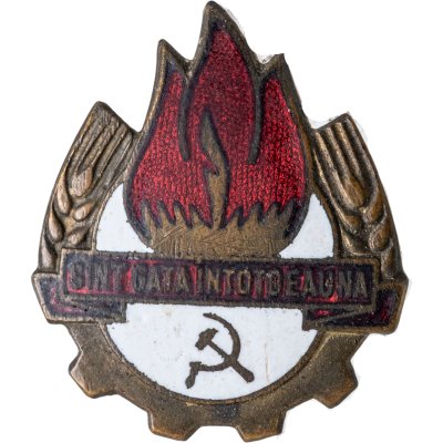 купить Румыния Членский знак Пионерской организации. Бронза, эмаль, булавка. 1949г