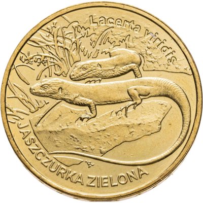 купить Польша 2 злотых (zlote) 2009 Всемирная природа - Зелёная ящерица