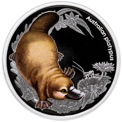 купить Австралия 50 центов 2013 «Утконос»