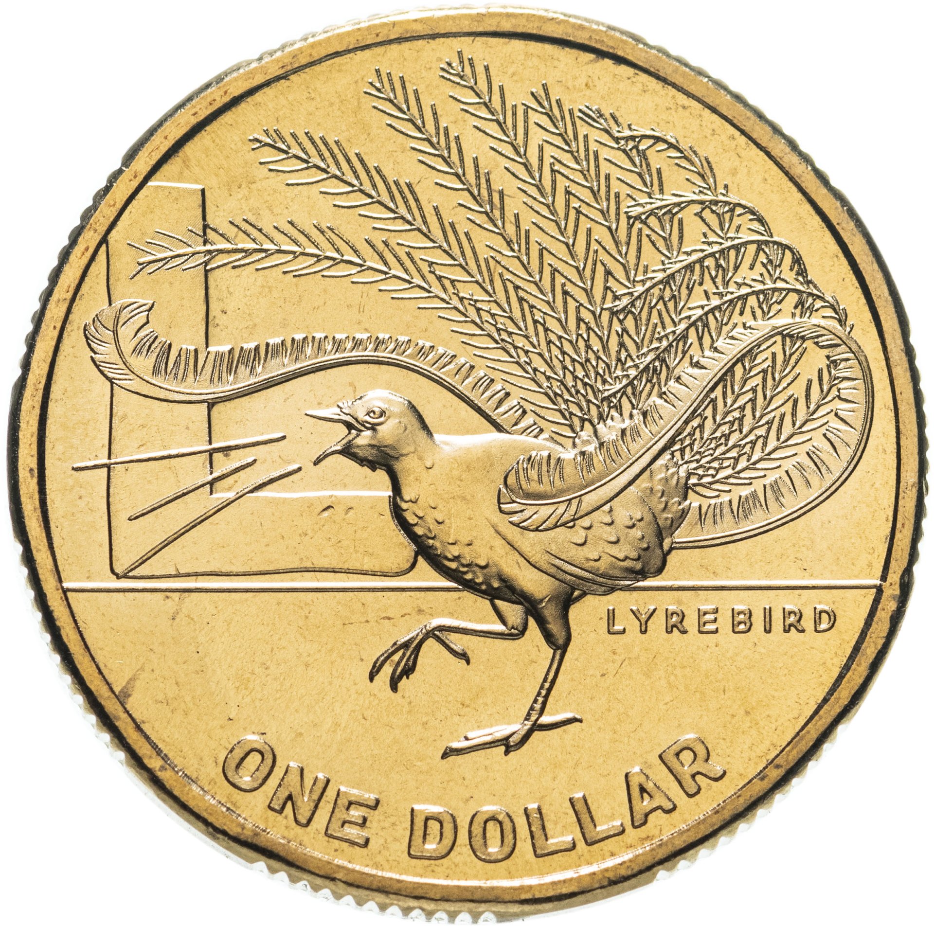 Монета австралия 1 доллар. Монеты Австралии 1 доллар. Австралия 1 доллар 2021. Монета памятная Австралии 1 доллар. Монеты Австралии 2022 лирохвост.