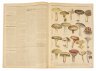 Купить Газета "Le Petit Journal" выпуск № 309 от 18 октября 1896