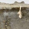 Купить Панно настенное, декорированное рельефным изображением пейзажа с замком, металл, литье, Европа, 1970-1990 гг.