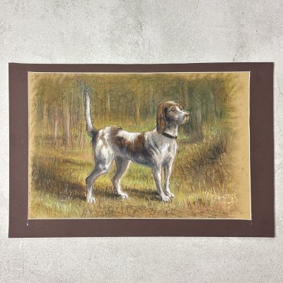 купить Графическая работа в паспарту "Верный друг" ("Собака"), художник Жорж Фирсов, бумага, пастель, Российская Федерация, 2025 г.