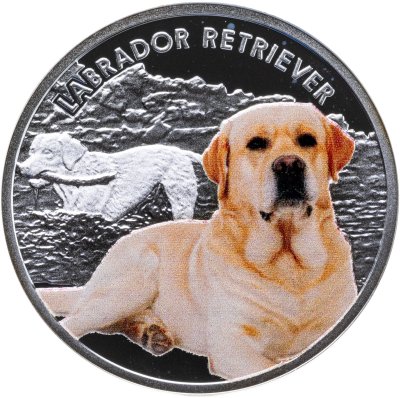 купить Остров Ниуэ 1 доллар 2014 « Лучшие друзья человека - лабрадор-ретривер»