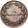 Купить Германия, Гессен-Дармштадт наградная медаль 	1894-1918 "Эрнст Людвиг Гессенский"