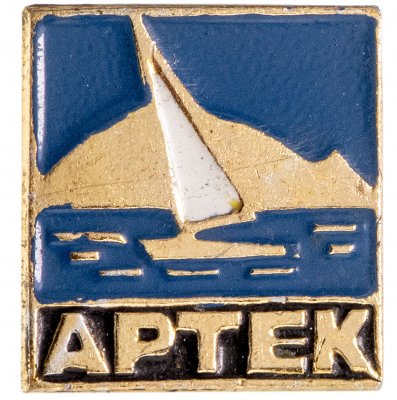 купить Значок Пионерский лагерь Артек (Разновидность случайная )