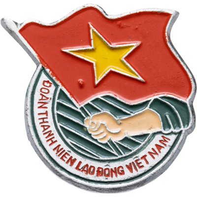 купить Значок Вьетнам (Разновидность случайная )