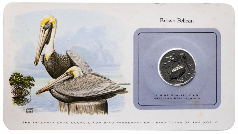 купить Серия "Птицы на монетах мира" - Британские Виргинские острова 50 центов (cents) 1980 (в буклете)
