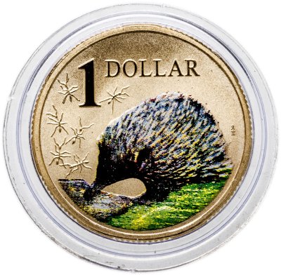 купить Австралия 1 доллар 2008 «Наземные животные Австралии - вомбат»