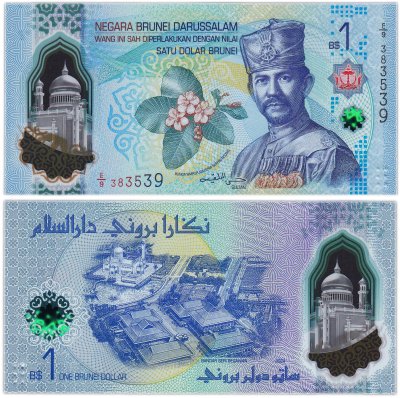 купить Бруней 1 доллар 2026 (2024) Pick 41 полимер