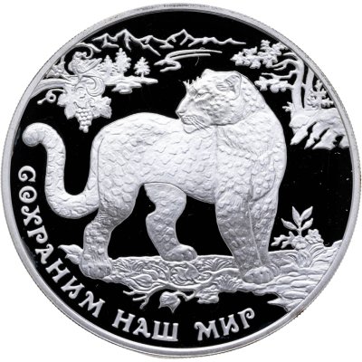 купить 3 рубля 2011 ММД "Переднеазиатский леопард"