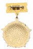 Купить Знак Отличник гражданской обороны СССР (Разновидность случайная )