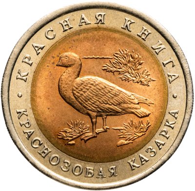 купить 10 рублей 1992 ЛМД Краснозобая казарка - Красная книга