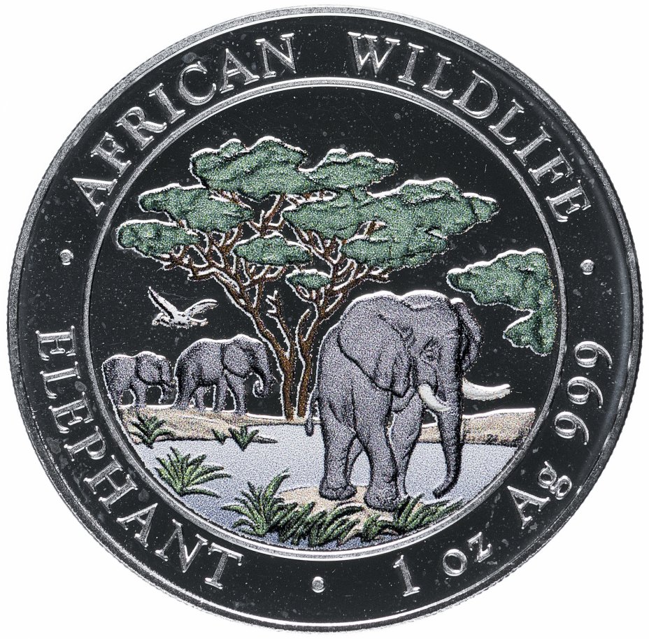 купить Сомали 100 шиллингов 2012  "Слоны цветная"